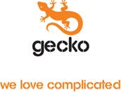 GECKO DIRECT LTD