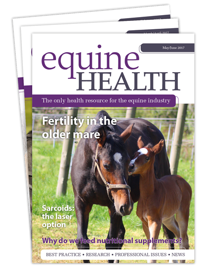 Picture of Equine Health Print