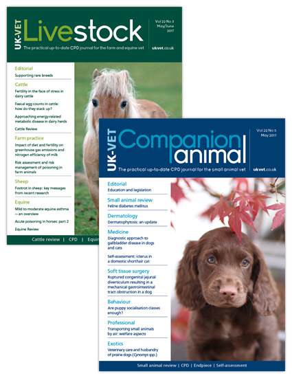 Companion Animal + Livestock