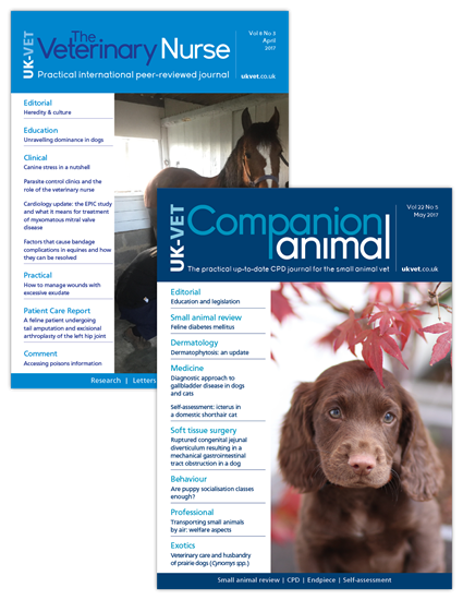 Companion Animal + The Vet Nurse