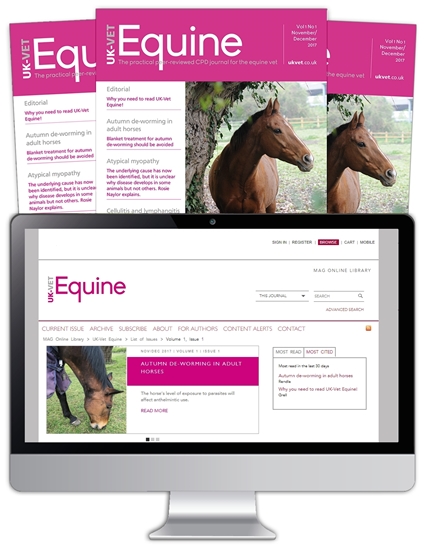 Picture of Equine Print, Website & CPD