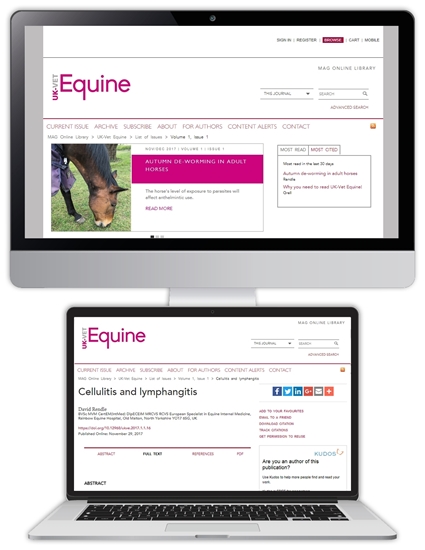 Picture of Equine Website £1 for 1 month