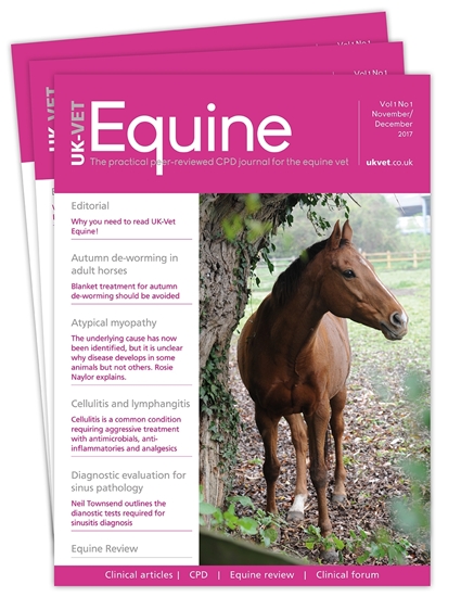 Picture of Equine Print £1 for 1 issue