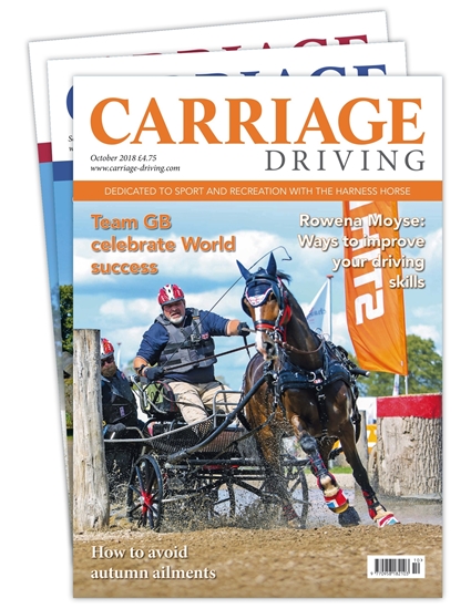 Carriage Driving Print