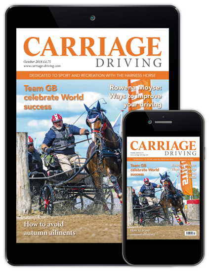 Carriage Driving Digital