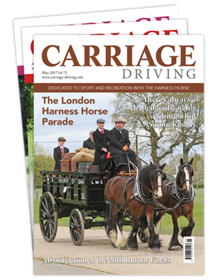 Picture of Carriage Driving Print CDCAP