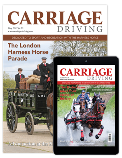 Picture of Carriage Driving Print & Digital CDCAP