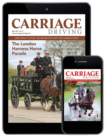 Picture of Carriage Driving Digital CDCAP