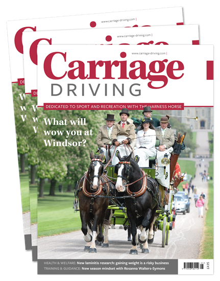 Picture of Carriage Driving Print
