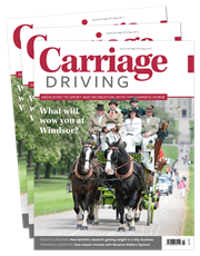 Picture for category Carriage Driving