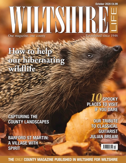 Picture of Wiltshire Life October 2020 issue