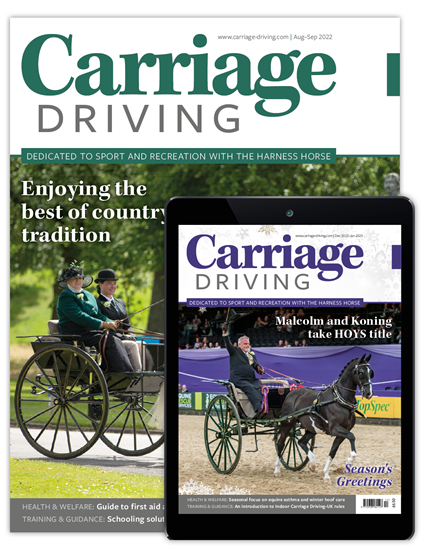 Picture of Carriage Driving Print & free Digital