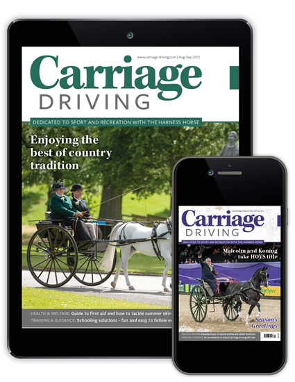 Picture of Carriage Driving Digital
