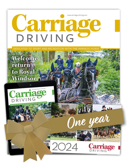 Picture of Carriage Driving Offer 1 Year