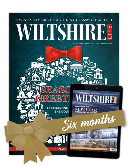 Picture of Wiltshire Life Offer 6 Months