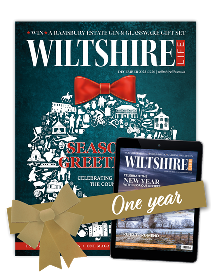 Picture of Wiltshire Life Christmas 1 Year