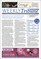 Picture for category Weekly Tribune