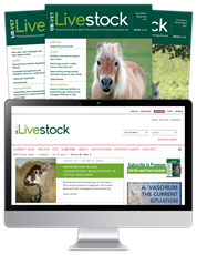 Picture for category Livestock - Special Offer