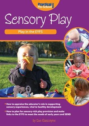 Picture of Sensory Play: Play in The EYFS