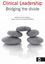 Picture of Clinical Leadership: Bridging the Divide